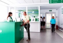 Кабмин продлил сроки использования водительских удостоверений старого образца