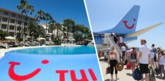 TUI Russia полностью выкуплена Мордашевым: стала известна стоимость