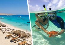 На Красном море приступают к строительству нового курорта