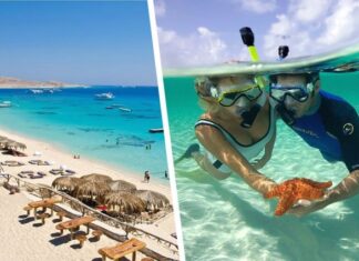 На Красном море приступают к строительству нового курорта