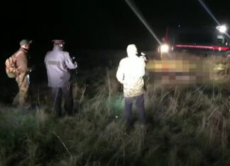 Поисковик выдвинул версии гибели коллег при взрыве снаряда