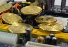 В десятке по заработкам на биткоине: откуда у украинцев столько денег