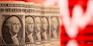 Каким будет курс доллара ко Дню Независимости