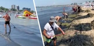 Нефть идет на пляжи Анапы: туристы и дельфины в шоке от экологической катастрофы