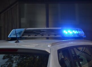 Журналист Невзоров заявил, что просил правоохранителей отпустить напавшего на него мужчину