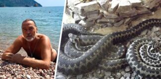 «Из мусорных куч полезли гады» — знаменитый художник был шокирован отдыхом под Сочи