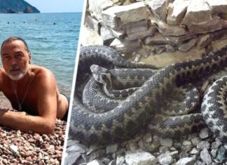 «Из мусорных куч полезли гады» — знаменитый художник был шокирован отдыхом под Сочи