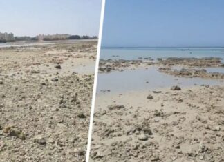 В Хургаде туристы были напуганы резким уходом воды и оголением дна пляжей