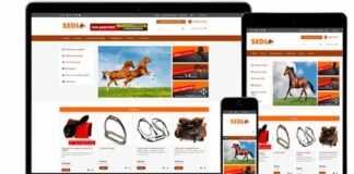 Создание интернет магазина: стоит доверить это профессионалам