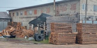 На Львовщине группа лесников незаконно вырубила леса на 2,5 млн