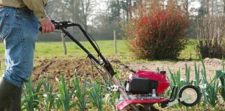 Мотоблоки: применение в сельском хозяйстве