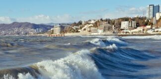 Прививка в гостинице: как встретить Новый год на черноморских курортах