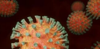 ВОЗ: омикрон-штамм способен заражать ранее переболевших коронавирусом