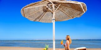 Популярные направления в Египте: выбираем солнечный отдых