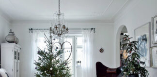 Врачи предупредили об опасности установки в квартирах живых елок