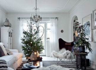 Врачи предупредили об опасности установки в квартирах живых елок