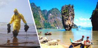 На популярный туристический остров Таиланда надвигается угроза