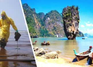 На популярный туристический остров Таиланда надвигается угроза