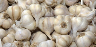 Названы 4 лучших продукта для укрепления иммунитета в пандемию