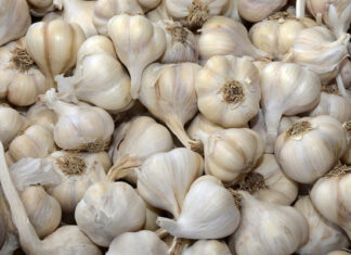 Названы 4 лучших продукта для укрепления иммунитета в пандемию