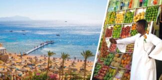 Полный апокалипсис: туристка назвала Шарм-эль-Шейх местом для любителей заброшек и интровертов