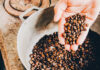 Кофе свежей обжарки: в чем его достоинства