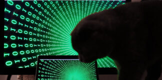 Помощники киберпреступников будут получать реальные сроки