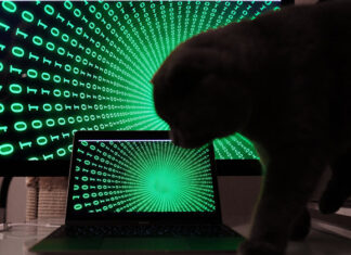 Помощники киберпреступников будут получать реальные сроки