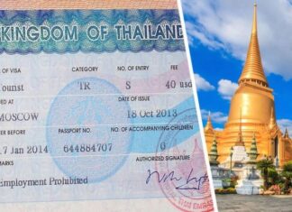 Россиянка раскрыла, как остаться в Таиланде на год по студенческой визе