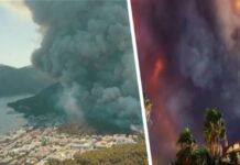 В Анталии продолжаются попытки поджога курортов