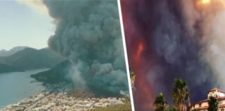 В Анталии продолжаются попытки поджога курортов