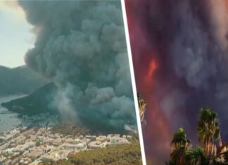 В Анталии продолжаются попытки поджога курортов