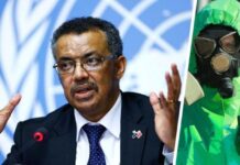 ВОЗ предупредила россиян о новой опасности: туризм вновь поставлен под угрозу