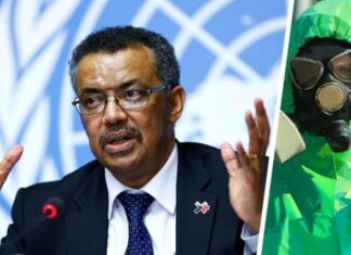 ВОЗ предупредила россиян о новой опасности: туризм вновь поставлен под угрозу