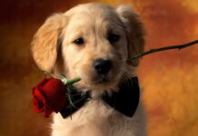 Дни рождения 15 августа