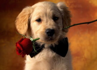 Дни рождения 15 августа