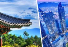 Сразу 2 популярные восточные страны меняют правила въезда для туристов