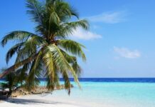 Туристы рассказали об опасностях, подстерегающих на райских Мальдивах