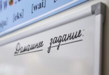 «Неактуальные» школьные предметы задвинули: астрономия и право перестали быть обязательными