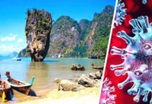 В Таиланде бьют тревогу: обнаружены 4 новых подвида коронавируса, которые станут доминировать в мире к Новому году