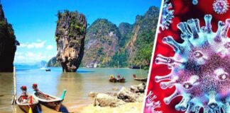 В Таиланде бьют тревогу: обнаружены 4 новых подвида коронавируса, которые станут доминировать в мире к Новому году