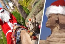 Туроператоры рассказали, в каких отелях Египта уже заканчиваются номера на Новый год