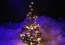 Появились компании, организующие Новый год для релокантов