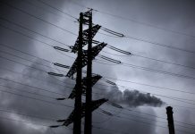 Владельцу погибшей под линией электропередач собаки компенсируют моральный вред