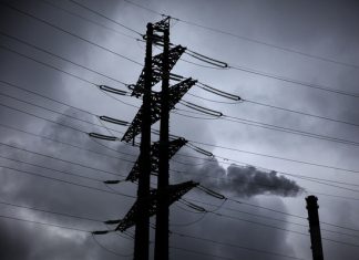 Владельцу погибшей под линией электропередач собаки компенсируют моральный вред