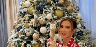 Звездные ёлки, поразившие интернет: пряничные домики, триколор, олени