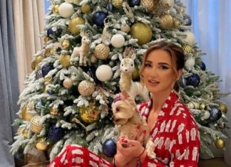 Звездные ёлки, поразившие интернет: пряничные домики, триколор, олени