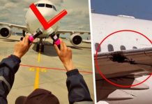 Рой пчел сорвал рейс, поселившись в крыле самолета