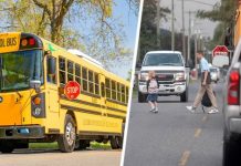 Российский турист был удивлен, узнав, что американские водители боятся школьных автобусов больше, чем полицию