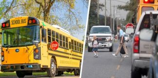 Российский турист был удивлен, узнав, что американские водители боятся школьных автобусов больше, чем полицию